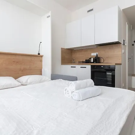 Onsite Free Parking Spot, 1gb Speed Wifi, Ac Apartment